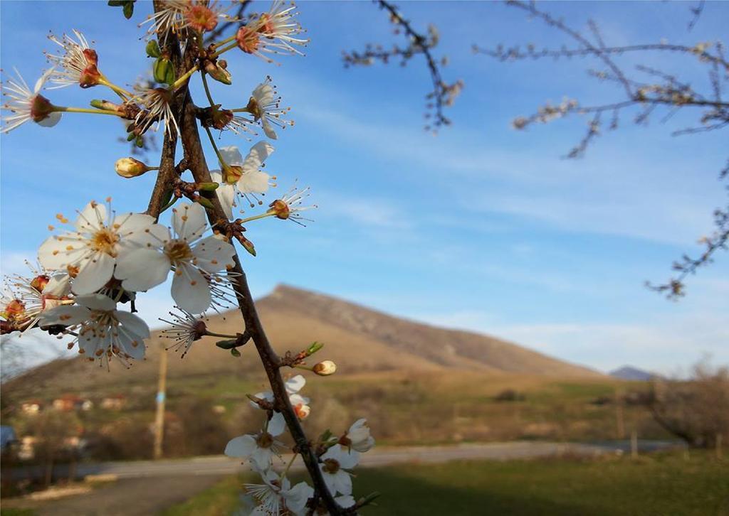 Torlashka Sreshta Guest House Vurbovo ภายนอก รูปภาพ